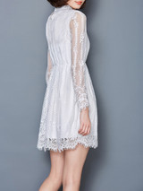 Casual Hollow Out Solid Lace Skater Dress