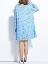 Casual Round Neck Hollow Out Plain Lace Shift Dress