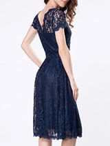 Casual Decorative Buttons Hollow Out Sexy Lace Skater Dress