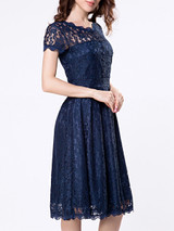 Casual Decorative Buttons Hollow Out Sexy Lace Skater Dress