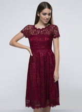Casual Decorative Buttons Hollow Out Sexy Lace Skater Dress