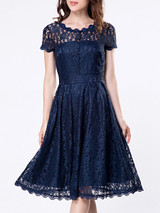 Casual Decorative Buttons Hollow Out Sexy Lace Skater Dress