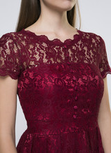 Casual Decorative Buttons Hollow Out Sexy Lace Skater Dress