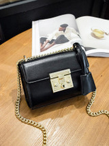 Casual Elegant Black Gold Chain Crossbody Bag