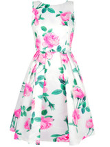 Casual Sleeveless Round Neck Floral Printed Skater Dresse