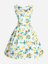 Casual Boat Neck Printed Skater Dress