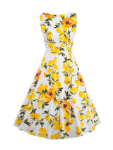 Casual Boat Neck Fruit Floral Printed Skater Dress