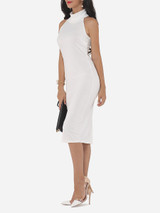 Casual Plain Elegant Cowl Neck Bodycon Dress