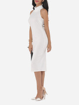 Casual Plain Elegant Cowl Neck Bodycon Dress