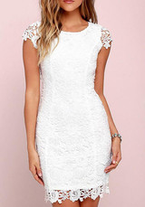 Casual White Patchwork Hollow-out Lace Zipper Backless Round Neck Mini Dress