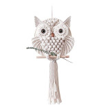 Handmade Owl Macrame Wall Hanging