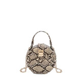 Retro Round Serpentine Chain Strap Shoulder Crossbody Bags
