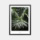 Posters And Prints Wall Art Canvas Painting Art Picture Wall Pictures For Living Room Cuadros Canvas Art Nordic Poster Unframed