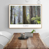 Forest Sea Cuadros Wall Pictures For Living Room Wall Art Canvas Painting Posters And Prints Nordic Decoration No Poster Frame