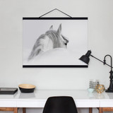 Black White Horse Posters Prints Nordic Style Home Decor Living Room Big Scroll Wall Art Pictures Wooden Framed Canvas Paintings
