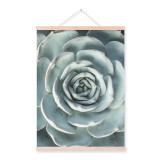 Minimalist Green Succulent Plant Typography Quotes Wooden Framed Nordic Poster Print Home Decor Wall Art Canvas Paintings Scroll