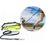 Handsfree Bungee Dog Leash