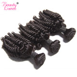 Malaysian Afro Kinky Curly Weave Human Hair Bundles Can Buy 3/4 Bundles Hair Extension BEAUTY LUEEN Non-Remy Hair Weaving