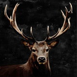 The Deer