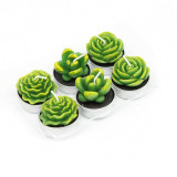 Mini Cactus Candle Set ( 6 pcs )
