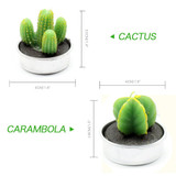 Mini Cactus Candle Set ( 6 pcs )