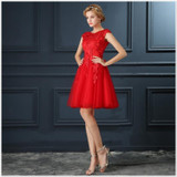 Sleeveless Party Wedding Mini Dress