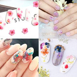 132pcs Nail Dried Flowers 3D Nail Stickers Supplies 3 Boxes 36 Colors Mini Natural for Nail Art Supplies Decals Mixed Accessories, Starry Flower