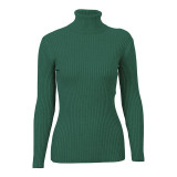 FATIKA 2017 Fashion Women Turtleneck Full Sleeve Brief Slim Pullovers Solid Elegant Knitted Skinny FATIKA 2017 Fashion Women Turtleneck Full Sleeve Brief Slim Pullovers Solid Elegant Knitted Skinny