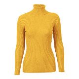 FATIKA 2017 Fashion Women Turtleneck Full Sleeve Brief Slim Pullovers Solid Elegant Knitted Skinny FATIKA 2017 Fashion Women Turtleneck Full Sleeve Brief Slim Pullovers Solid Elegant Knitted Skinny