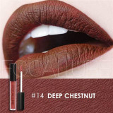 FOCALLURE Waterproof Matte Liquid Lipstick Moisturizer Smooth Lip Stick Long Lasting Lip Gloss