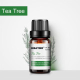 Essential Oil for Diffuser, Aromatherapy Oil Humidifier 6 Kinds Fragrance of Lavender, Tea Tree,