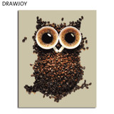 DRAWJOY Framed Picture Painting & Calligraphy Of Loely Animals  DIY Painting By Numbers Coloring By Numbers