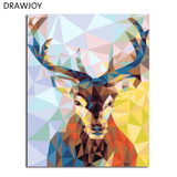 DRAWJOY Framed Picture Painting & Calligraphy Of Loely Animals  DIY Painting By Numbers Coloring By Numbers