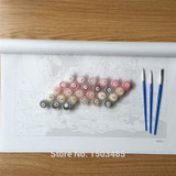 DRAWJOY Cat Framed DIY Oil Paint DIY Painting By Numbers On Canvas Coloring By Numbers For Home Decor