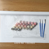 DRAWJOY Framed Picture Painting By Numbers Wall Art DIY Oil Painting By Numbers On Canvas Home Decor For Living Room