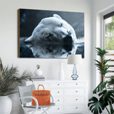 Polar bear