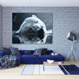 Polar bear