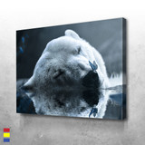 Polar bear