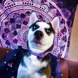 Stargazer Tapestry