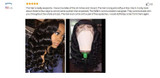 Loose Deep Wave Peruvian Hair Bundle Extensions