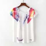 Cute Cat Summer Novelty Women T Shirt