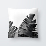 Tropical Decoration Print Cactus Monstera Cushion Cover Polyester size: 43*43 cm