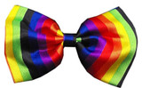 Rainbow Bow Tie and Paw Button Pin set for Dogs