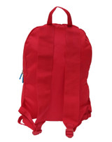 Expandable Backpack