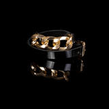 The Austere Promise The Austere Promise