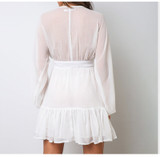 Plunge Neck Lace-Trimmed Minidress