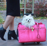 Madison Pet Carrier