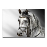 Style Horse Canvas Painting Animals