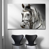 Style Horse Canvas Painting Animals