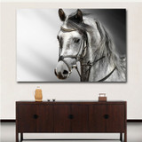 Style Horse Canvas Painting Animals